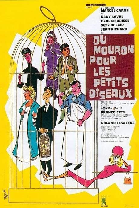 Chicken Feed for Little Birds